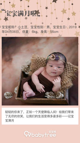 journal_insert_pic_1227976880
