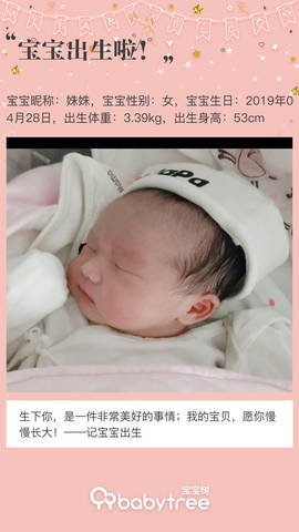 journal_insert_pic_1228661505