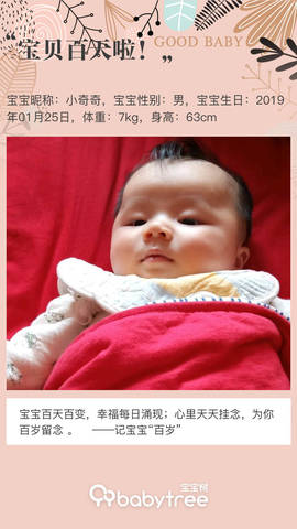 journal_insert_pic_1228897735