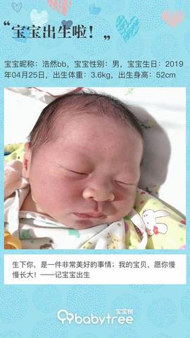 journal_insert_pic_1229366303