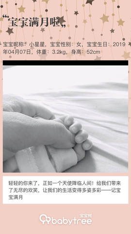 journal_insert_pic_1229221154