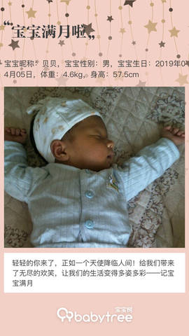 journal_insert_pic_1229905864