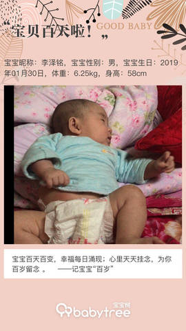 journal_insert_pic_1229752818