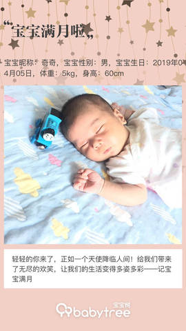 journal_insert_pic_1229447250