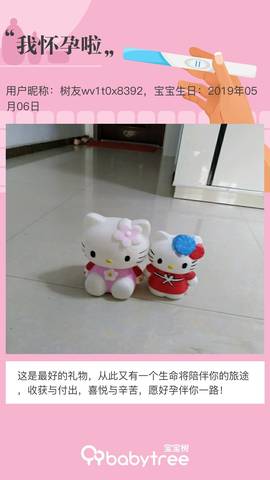 journal_insert_pic_1230766972