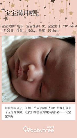 journal_insert_pic_1230490578