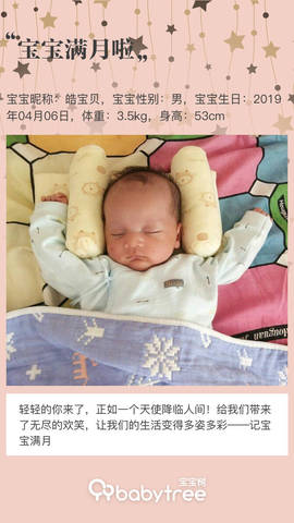 journal_insert_pic_1230445430