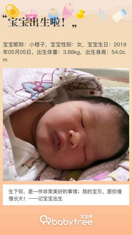 journal_insert_pic_1231051270