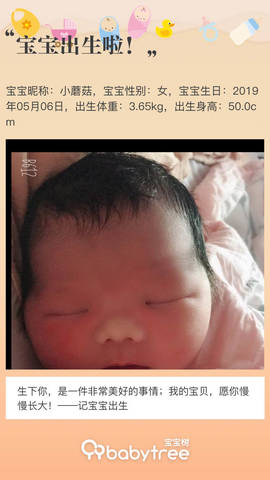 journal_insert_pic_1231820227
