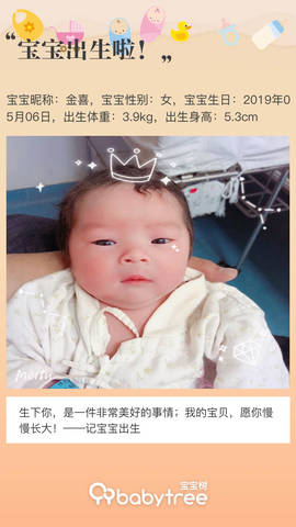journal_insert_pic_1232131795