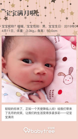 journal_insert_pic_1231851615