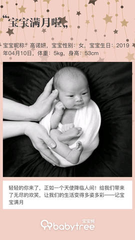 journal_insert_pic_1232260951