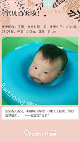 journal_insert_pic_1232452775
