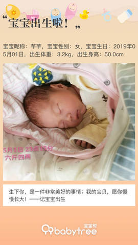 journal_insert_pic_1232487783