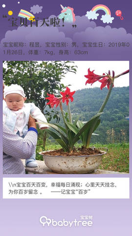 journal_insert_pic_1232692360