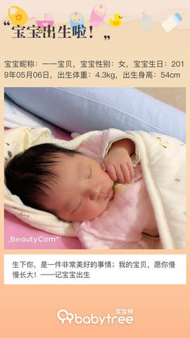 journal_insert_pic_1233716359