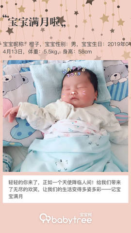 journal_insert_pic_1234044734