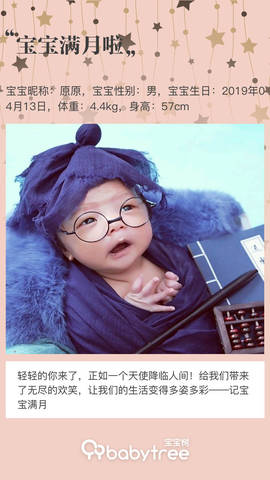 journal_insert_pic_1235435037