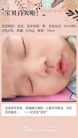 journal_insert_pic_1236409154