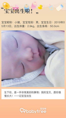 journal_insert_pic_1236426499
