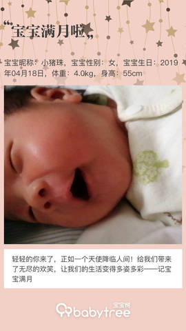journal_insert_pic_1236188580
