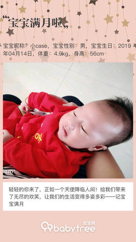 journal_insert_pic_1236728037