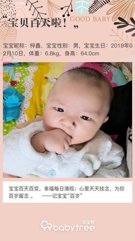 journal_insert_pic_1237672594