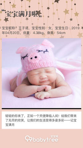 journal_insert_pic_1239106284