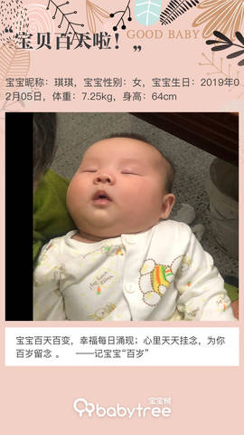 journal_insert_pic_1239327984