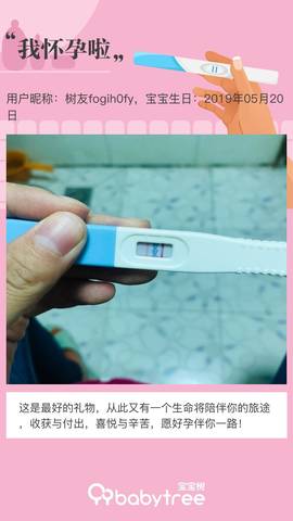 journal_insert_pic_1239342481