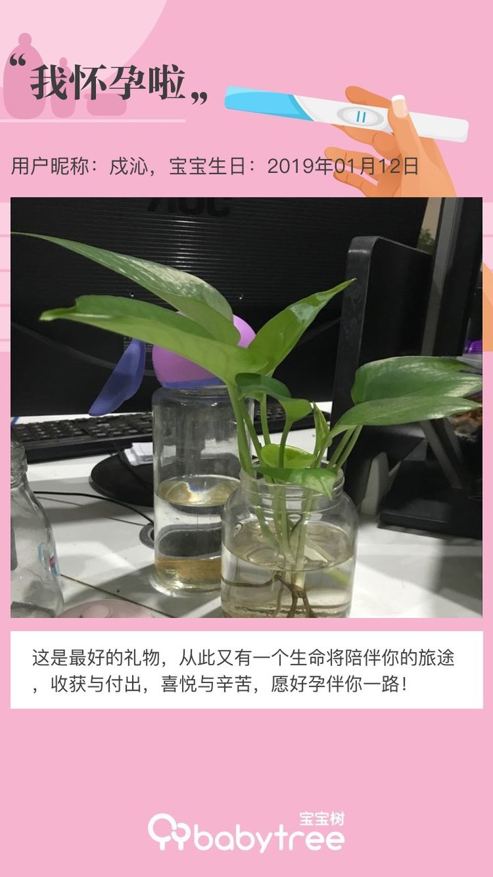 我怀孕啦