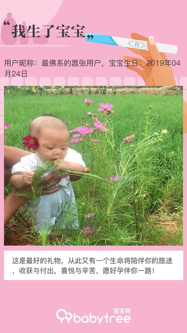 我生了宝宝