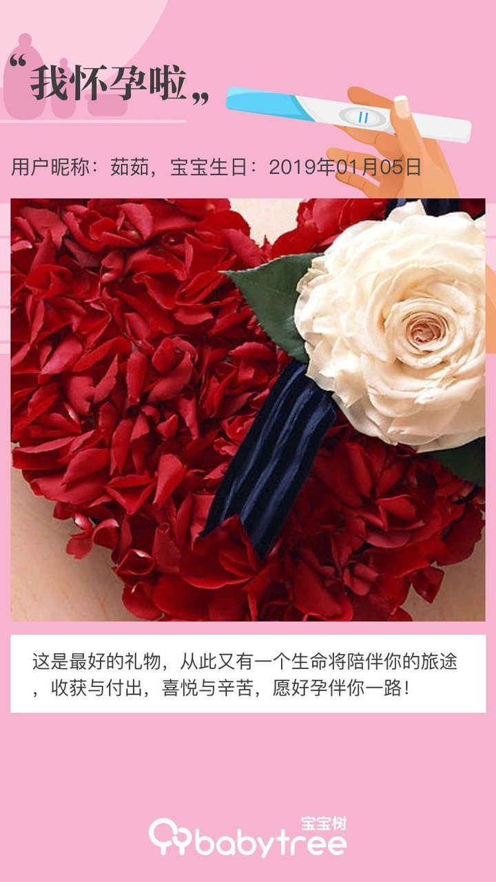 我怀孕啦