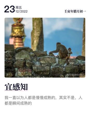 journal_insert_pic_1928141247