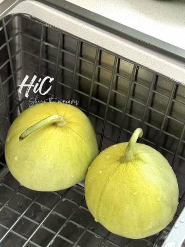 journal_insert_pic_4361980780