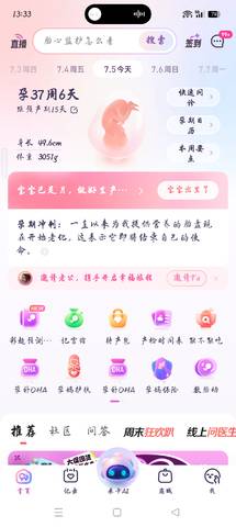 journal_insert_pic_4362926154