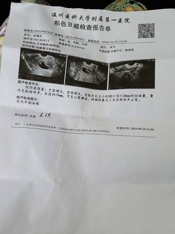 journal_insert_pic_4413867439
