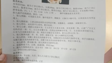 journal_insert_pic_4413909140