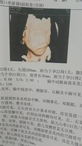 journal_insert_pic_4413909142