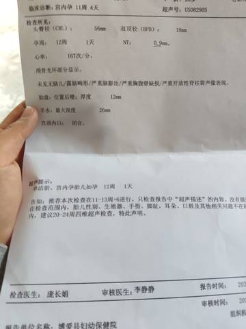 journal_insert_pic_4414220442