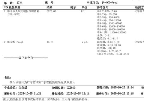 journal_insert_pic_4414759650