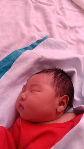 journal_insert_pic_4414789746