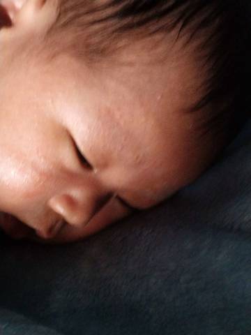 journal_insert_pic_4439501913