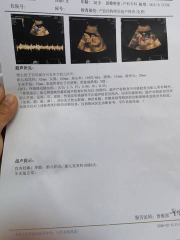 journal_insert_pic_4441285253