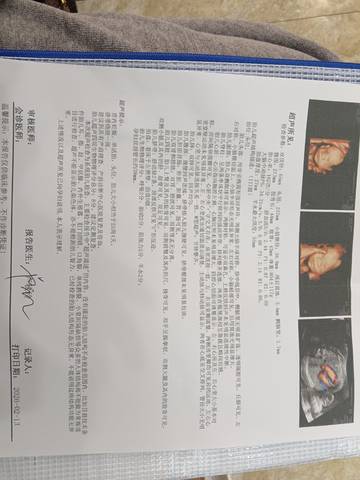 journal_insert_pic_4441284892