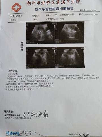 journal_insert_pic_4447190359