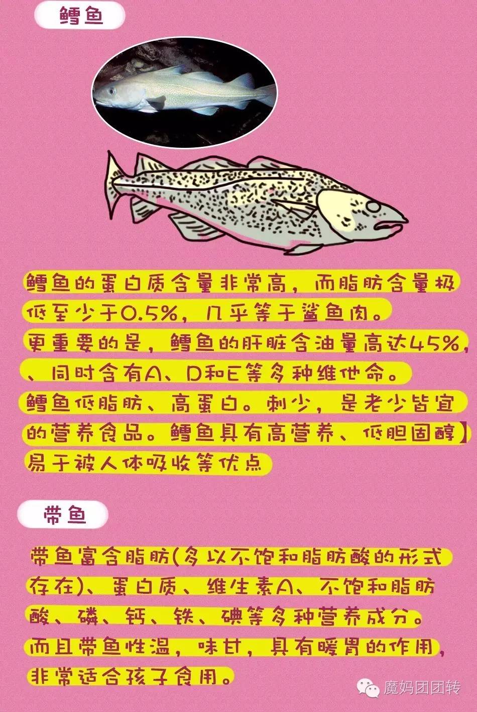 journal_insert_pic_673677637