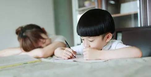 journal_insert_pic_941343378