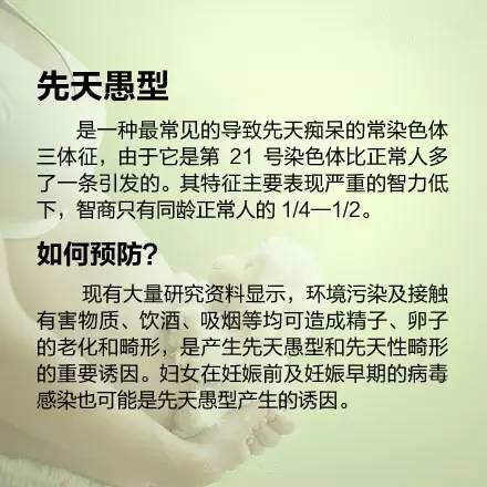 journal_insert_pic_678322639