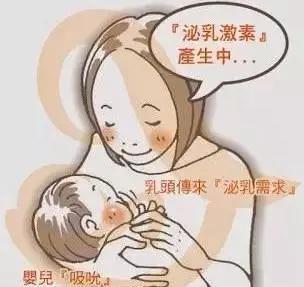 宝宝的奶量有多大?应该喝多少奶?